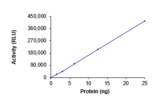 Product Element Image